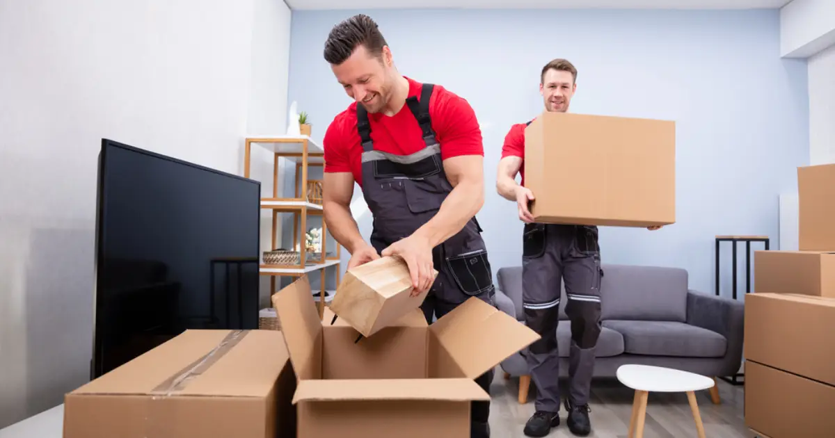 professional packing services denver